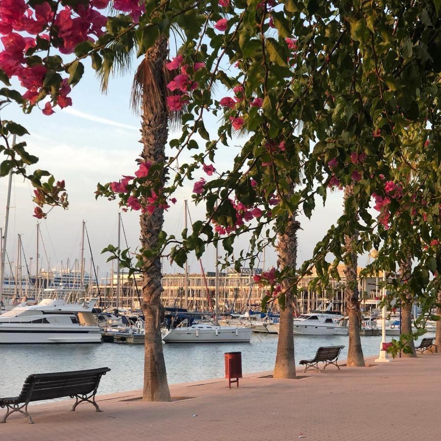 35-3- Комната В Квартире Для Семьи От 1 До 4 Человек В Центре Аликанте Alicante Exterior foto